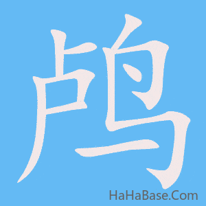 《鸬》的筆順動畫寫字動畫演示