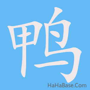 《鸭》的筆順動畫寫字動畫演示