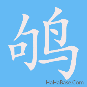 《鸲》的筆順動畫寫字動畫演示