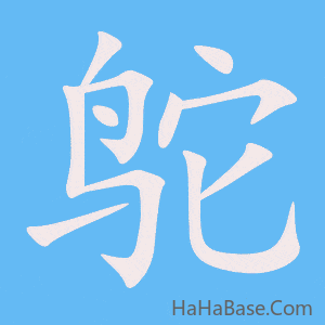 《鸵》的筆順動畫寫字動畫演示