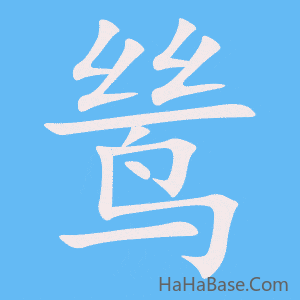 《鸶》的筆順動畫寫字動畫演示