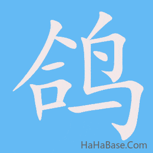《鸽》的筆順動畫寫字動畫演示