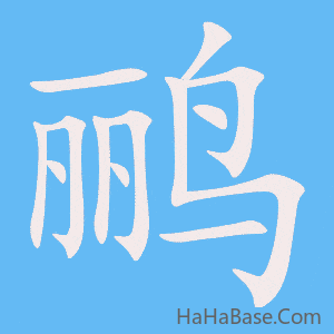《鹂》的筆順動畫寫字動畫演示