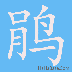 《鹃》的筆順動畫寫字動畫演示