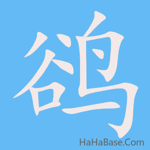 《鹆》的筆順動畫寫字動畫演示