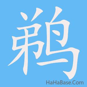 《鹈》的筆順動畫寫字動畫演示