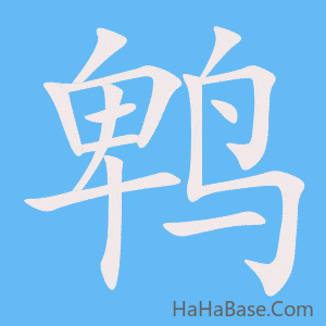 《鹎》的筆順動畫寫字動畫演示