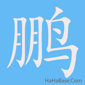 《鹏》的筆順動畫寫字動畫演示