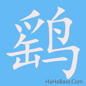 《鹞》的筆順動畫寫字動畫演示