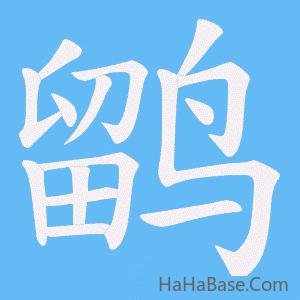 《鹠》的筆順動畫寫字動畫演示