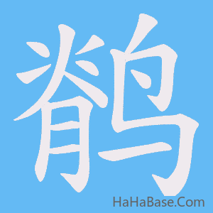 《鹡》的筆順動畫寫字動畫演示