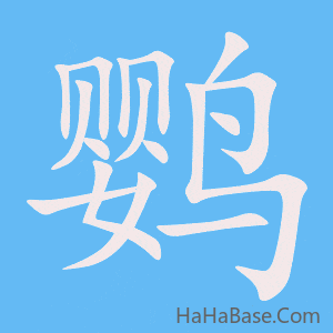 《鹦》的筆順動畫寫字動畫演示