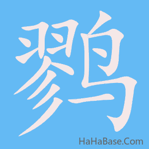 《鹨》的筆順動畫寫字動畫演示