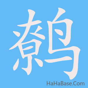 《鹩》的筆順動畫寫字動畫演示