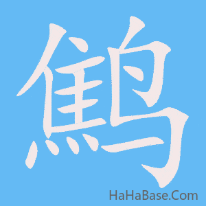 《鹪》的筆順動畫寫字動畫演示