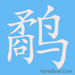 《鹬》的筆順動畫寫字動畫演示