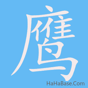 《鹰》的筆順動畫寫字動畫演示
