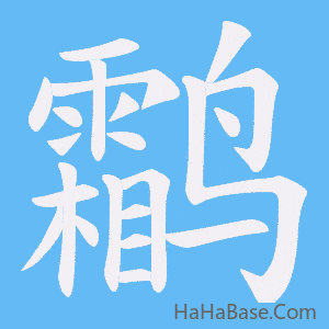 《鹴》的筆順動畫寫字動畫演示