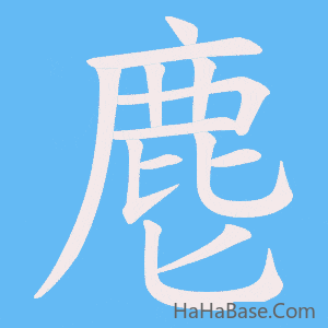 《麀》的筆順動畫寫字動畫演示