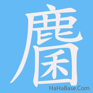 《麕》的筆順動畫寫字動畫演示
