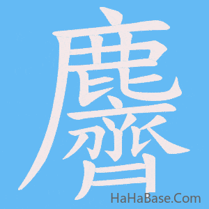 《麡》的筆順動畫寫字動畫演示