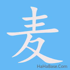 《麦》的筆順動畫寫字動畫演示