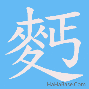 《麫》的筆順動畫寫字動畫演示
