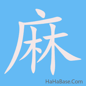 《麻》的筆順動畫寫字動畫演示
