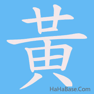 《黃》的筆順動畫寫字動畫演示