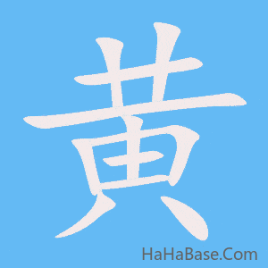 《黄》的筆順動畫寫字動畫演示