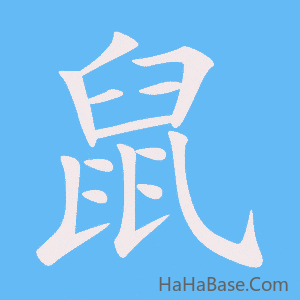 《鼠》的筆順動畫寫字動畫演示