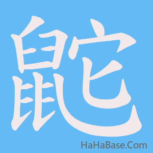 《鼧》的筆順動畫寫字動畫演示