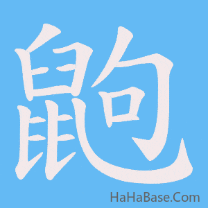 《鼩》的筆順動畫寫字動畫演示
