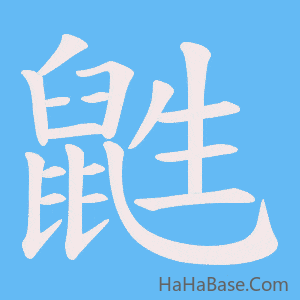 《鼪》的筆順動畫寫字動畫演示