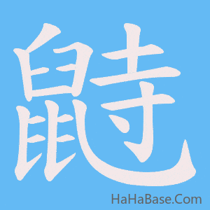 《鼭》的筆順動畫寫字動畫演示