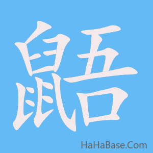 《鼯》的筆順動畫寫字動畫演示