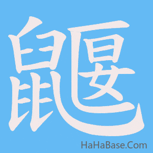 《鼴》的筆順動畫寫字動畫演示