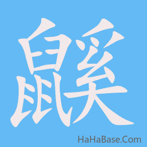 《鼷》的筆順動畫寫字動畫演示