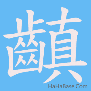 《齻》的筆順動畫寫字動畫演示