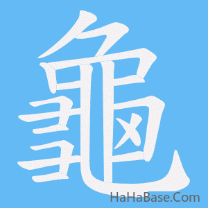 《龜》的筆順動畫寫字動畫演示