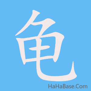 《龟》的筆順動畫寫字動畫演示