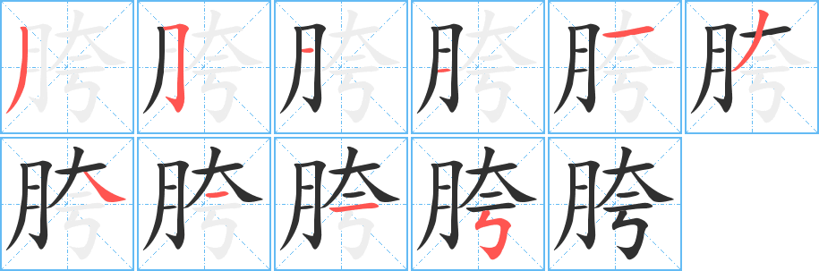 《胯》的筆順分步演示（一筆一畫寫字）