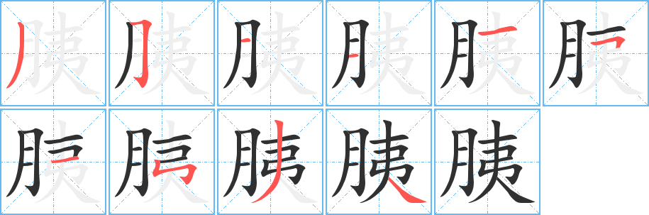 《胰》的筆順分步演示（一筆一畫寫字）