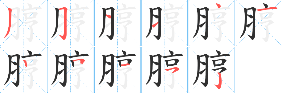 《脝》的筆順分步演示（一筆一畫寫字）
