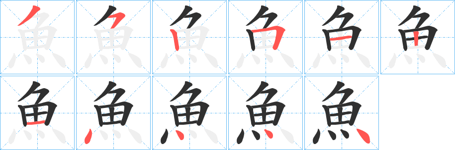 《魚》的筆順分步演示(一筆一畫寫字)